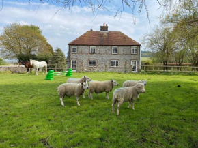 Charlton End - Goodwood Events